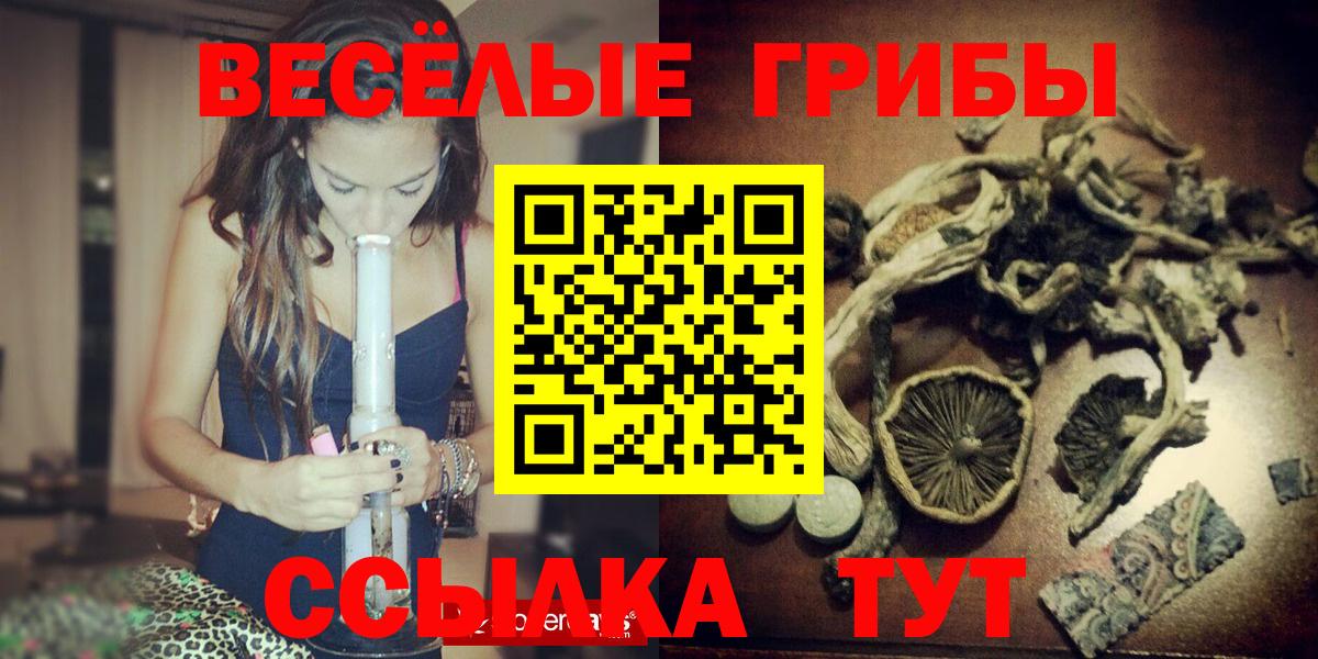 Псилоцибиновые грибы прущие грибы  Вход с VPN  Галлюциногенные грибы Psilocybe  Котельники 